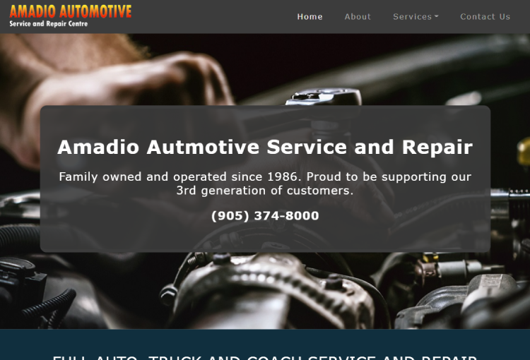 Screenshot of the Amadio Automotive Homepage
