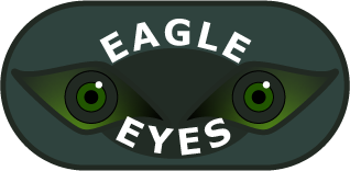 Image of Eagle Eyes Brand Logo